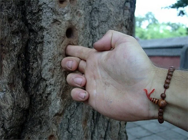 Cầm Nã thủ