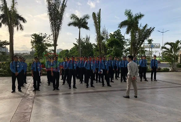 Bảo vệ chuyên nghiệp Việt Anh
