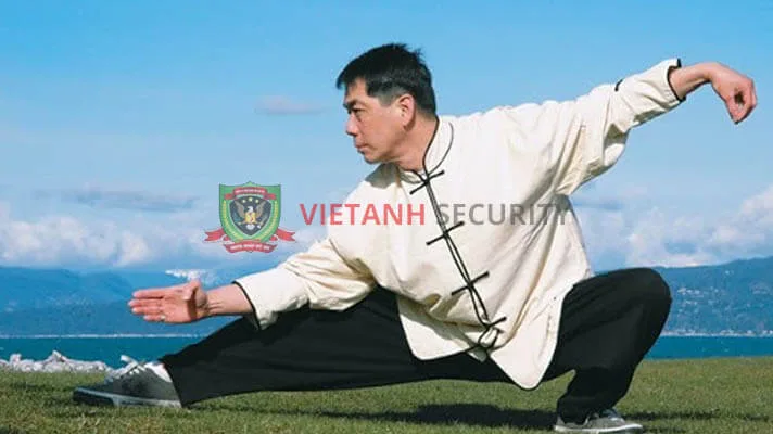 Đến nay chưa có tài liệu chính xác về nguồn gốc của Bát Cực Quyền