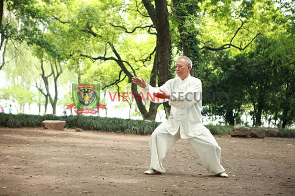 Công kích mạnh mẽ là một trong ba lý luận quan trọng của Bát Cực Quyền