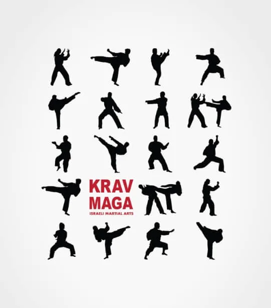 Các kỹ thuật trong krav maga