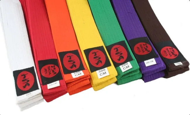 Cấp đẳng trong Judo