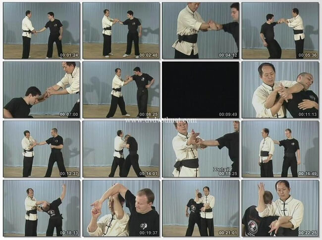 Đặc điểm Cầm Nã thủ