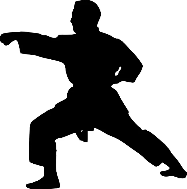 Karate là tổng hợp các tinh tuý môn võ