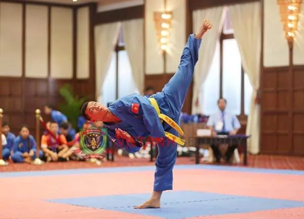 Học võ thuật Việt Nam cần phải học bài bản, nghiêm túc Học võ thuật Việt Nam cần phải học bài bản, nghiêm túc