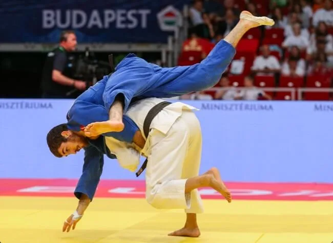 Kỹ thuật quật, ném (Nage waza)
