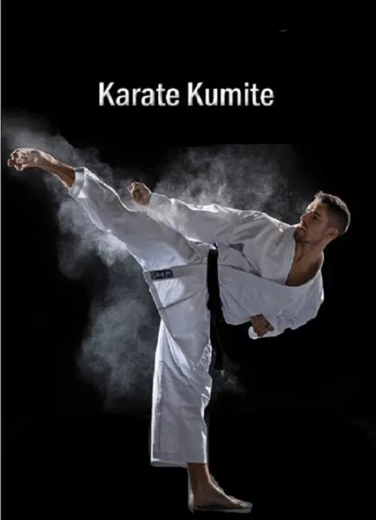 Kumite Karate 