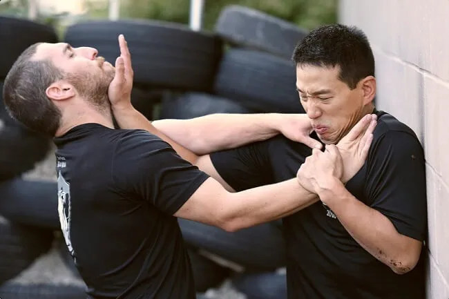 Nguyên tắc trong Krav maga