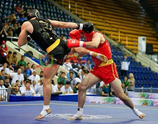Tán thủ - Môn võ đối kháng hiện đại