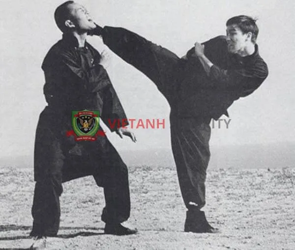 Triệt Quyền Đạo