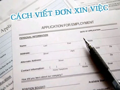 viết hồ sơ xin việc