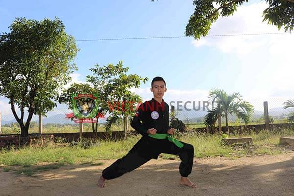 Võ Bình Định có nhiều dòng võ khác nhau