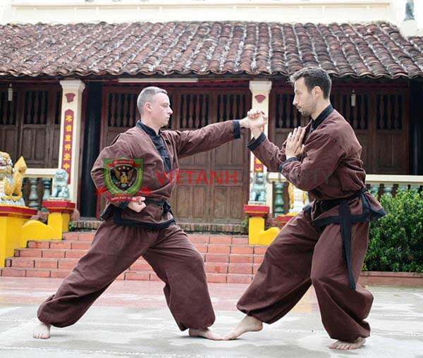 Võ cổ truyền Việt Nam