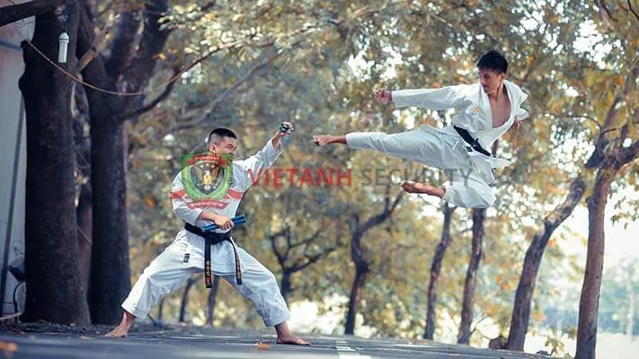 Võ thuật Việt Nam