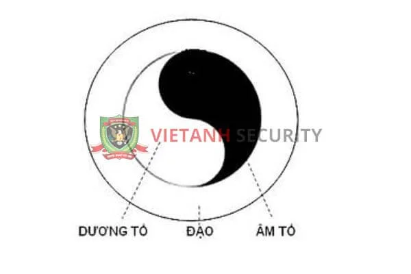 Nguyên lý cương - nhu phối triển trong võ Vovinam