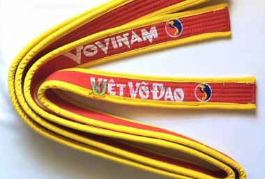 Võ Vovinam có mấy đai và có ý nghĩa gì?
