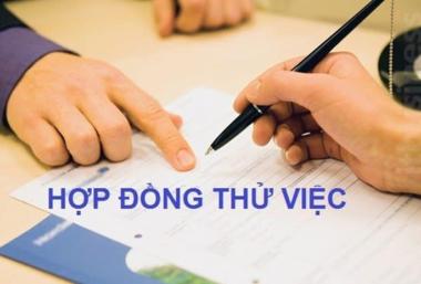 ký kết hợp đồng thử việc