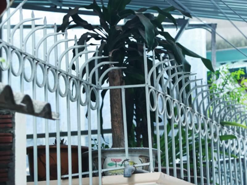 Hàng rào chông sắt