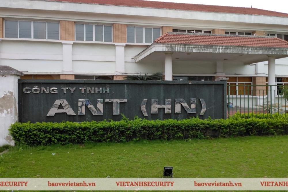 bảo vệ trang trại chăn nuôi Công ty TNHH ANT tại Sơn La bảo vệ trang trại chăn nuôi Công ty TNHH ANT tại Sơn La
